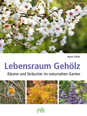 cover image of Lebensraum Gehölz